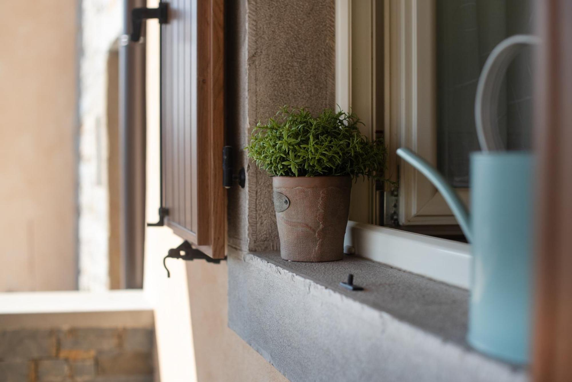 Truffle House Karlic Διαμέρισμα Buzet Εξωτερικό φωτογραφία